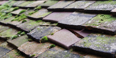 The Stukeleys roof repair costs